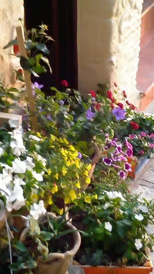 Le Antiche Mura Irsina Dış mekan fotoğraf