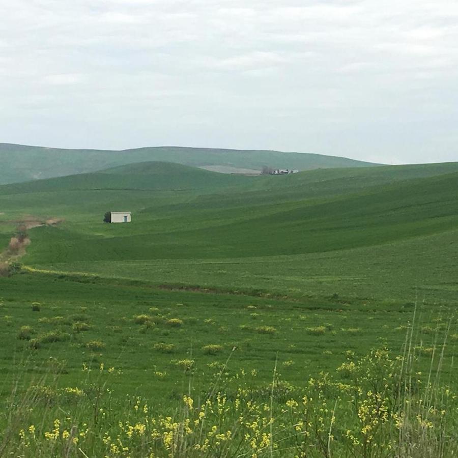 Le Antiche Mura Irsina Dış mekan fotoğraf